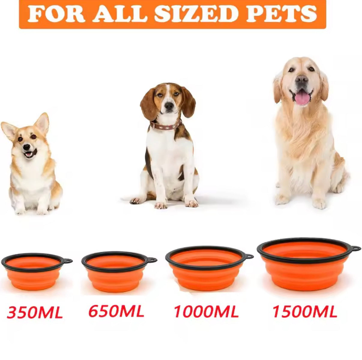 Collapsible Silicone Dog Bowl - Portable Travel Water & Food Bowl with Carabiner
