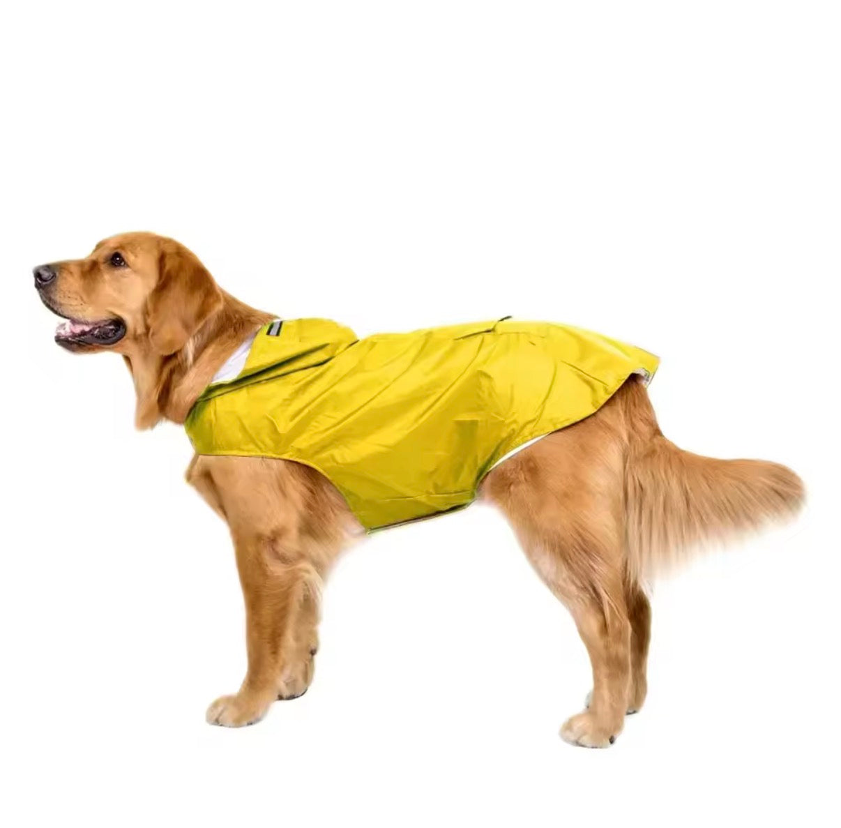 Waterproof Rain Jacket for Small Dogs - Lightweight & Reflective Raincoat