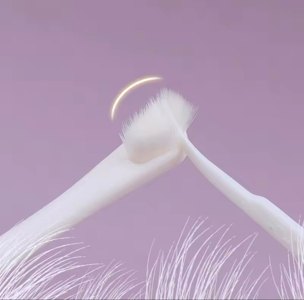 Soft Bristle Dog Toothbrush for Small Breeds - Gentle Teeth Cleaning