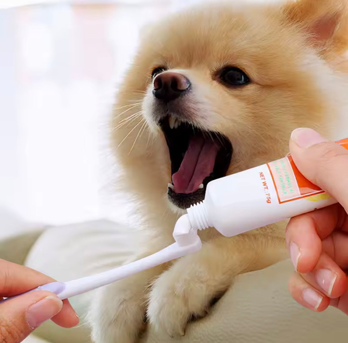 Soft Bristle Dog Toothbrush for Small Breeds - Gentle Teeth Cleaning